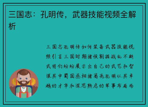 三国志：孔明传，武器技能视频全解析